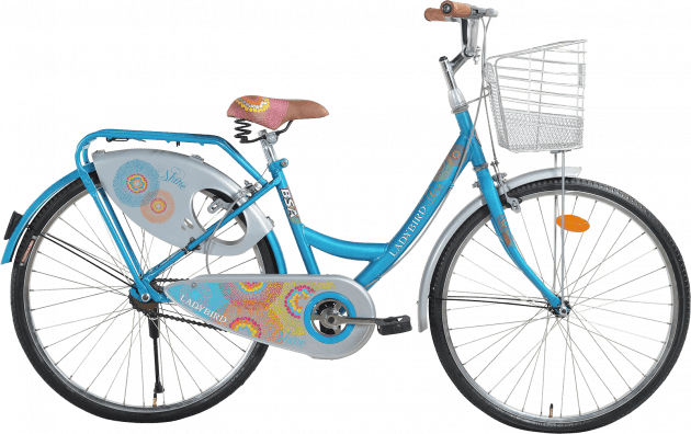 Lady bird shine cycle online